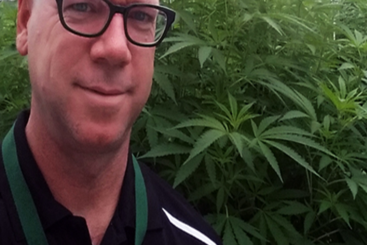 10 most common misconceptions about growing cannabis 10 most common misconceptions about growing cannabis