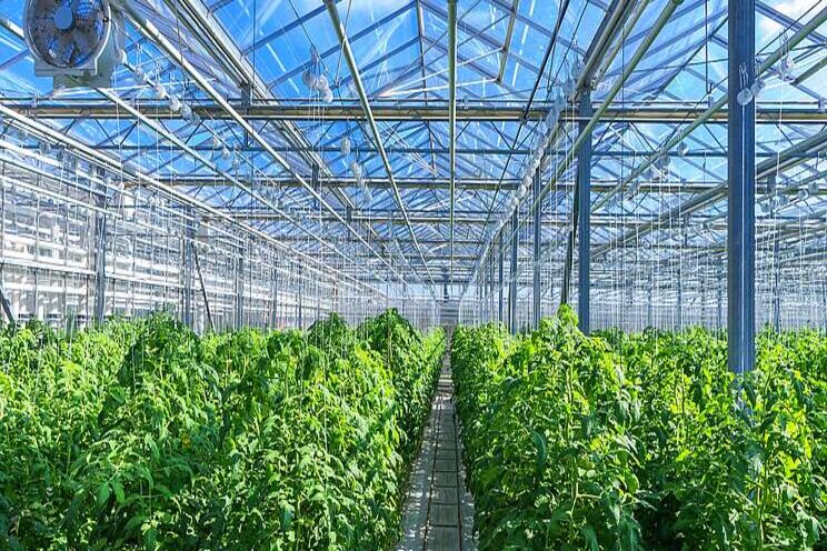 SENSOR DENSITY: Are your microclimates doing damage? SENSOR DENSITY: Are your microclimates doing damage?