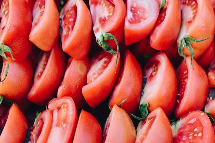 The criticial stage of growing tomatoes yourself The criticial stage of growing tomatoes yourself