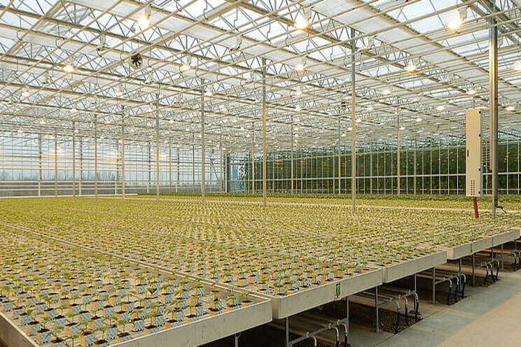 Greenhouse building projects that offer important lessons Greenhouse building projects that offer important lessons