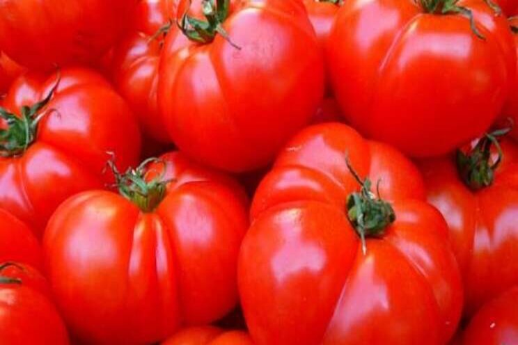 APHIS restricts imports of tomato, pepper due to ToBRFV APHIS restricts imports of tomato, pepper due to ToBRFV