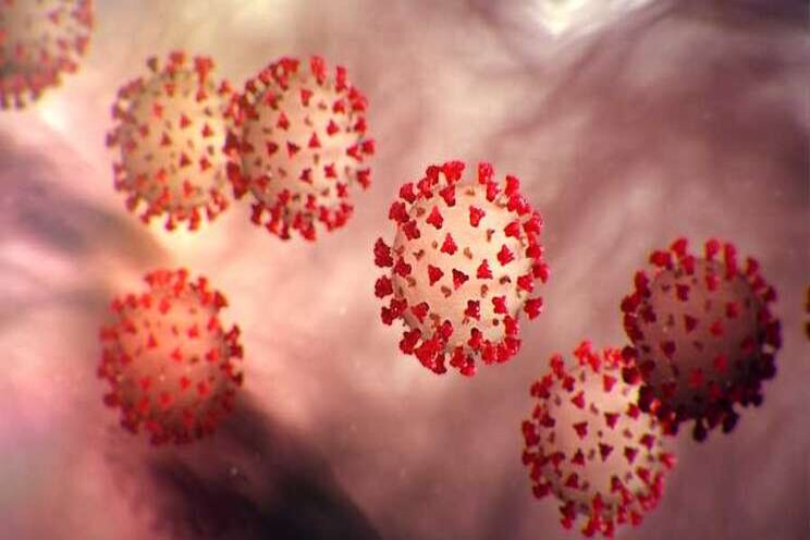 Coronavirus & Greenhouse industry: What we know so far Coronavirus & Greenhouse industry: What we know so far