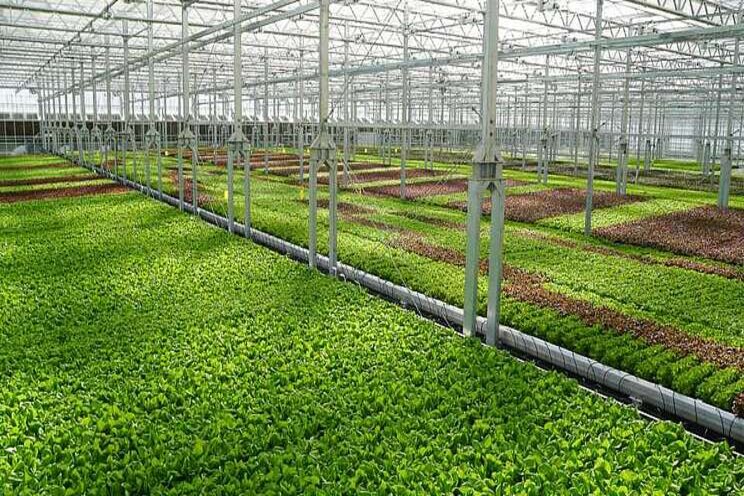 8 trends shaping the greenhouse structures industry 8 trends shaping the greenhouse structures industry