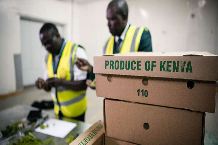 COVID-19 is hitting Kenyan horti exports hard COVID-19 is hitting Kenyan horti exports hard