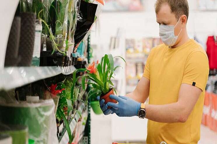 Flower growers optimistic about COVID-19 recovery Flower growers optimistic about COVID-19 recovery