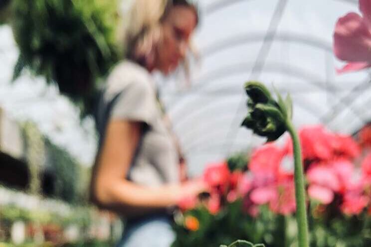 International source of info on indoor farming International source of info on indoor farming