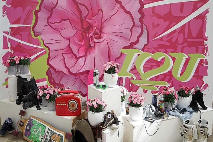 The secret of new 2020 pot carnation The secret of new 2020 pot carnation