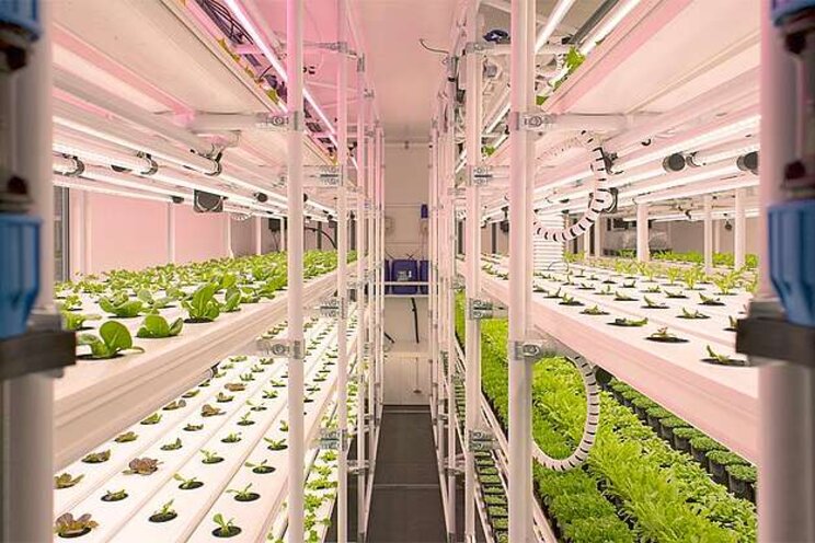 New merger to be Europe's largest Hydroponic distributor New merger to be Europe's largest Hydroponic distributor