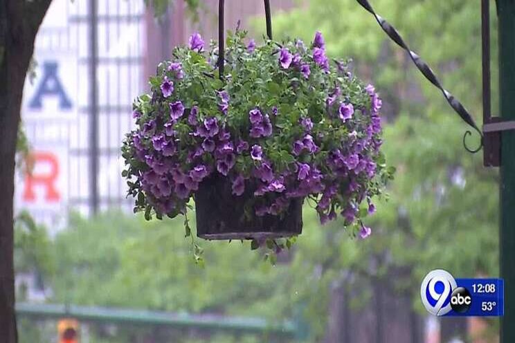 Hanging baskets bring a pop of color Hanging baskets bring a pop of color