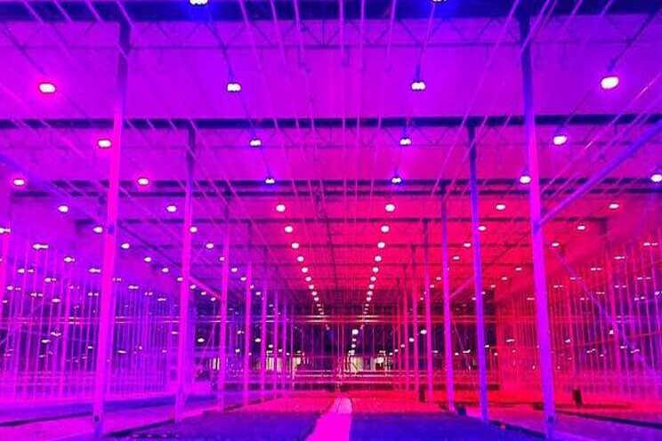 Get the facts about full-spectrum lighting Get the facts about full-spectrum lighting