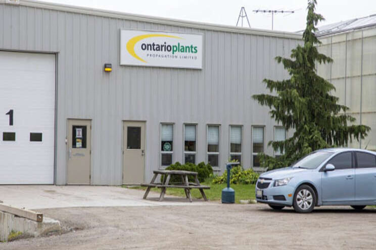 Outbreak at greenhouse grows with migrant workers Outbreak at greenhouse grows with migrant workers