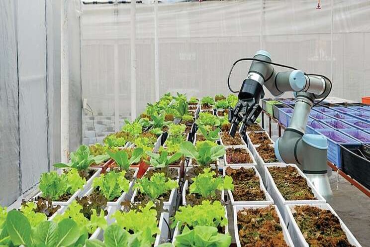 Enhanced robotics in food production Enhanced robotics in food production