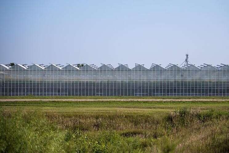 Greenhouse is fined to harbor undocumented workers Greenhouse is fined to harbor undocumented workers