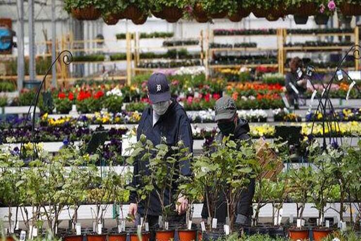 Home gardening boom seen in sales Home gardening boom seen in sales