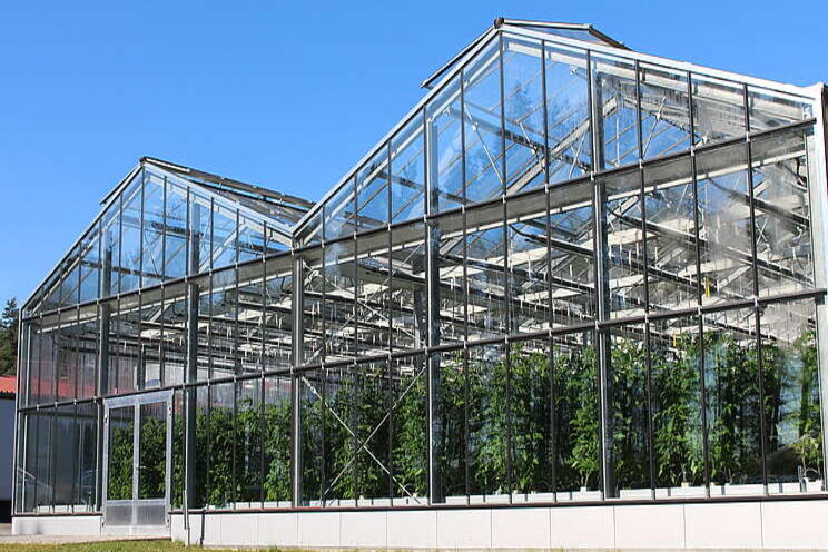 Research|Production of fish and vegetables can be profitable Research|Production of fish and vegetables can be profitable