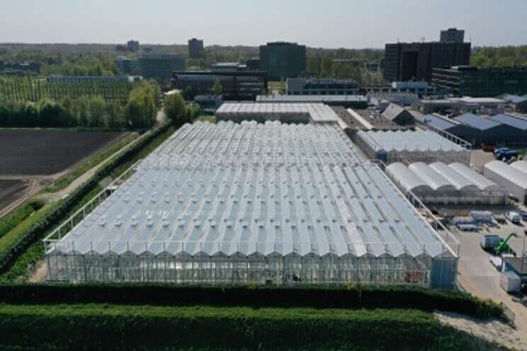 New high-tech quarantine greenhouse New high-tech quarantine greenhouse