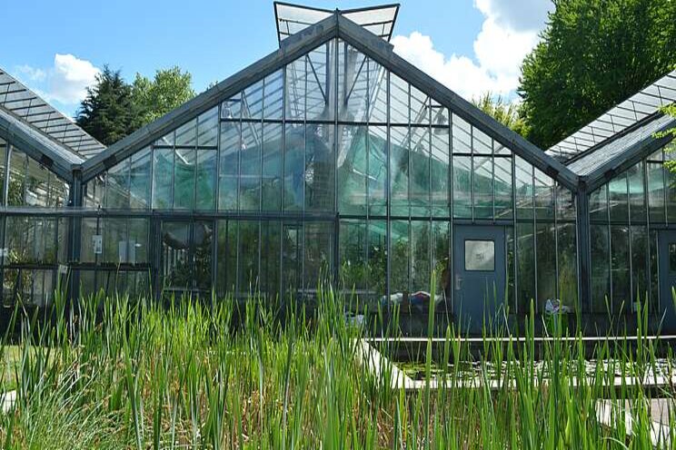 Huge greenhouse on sale for half of asking price Huge greenhouse on sale for half of asking price