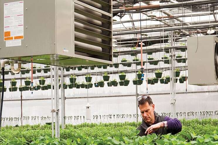 Is your greenhouse heater ready to be put to bed? Is your greenhouse heater ready to be put to bed?