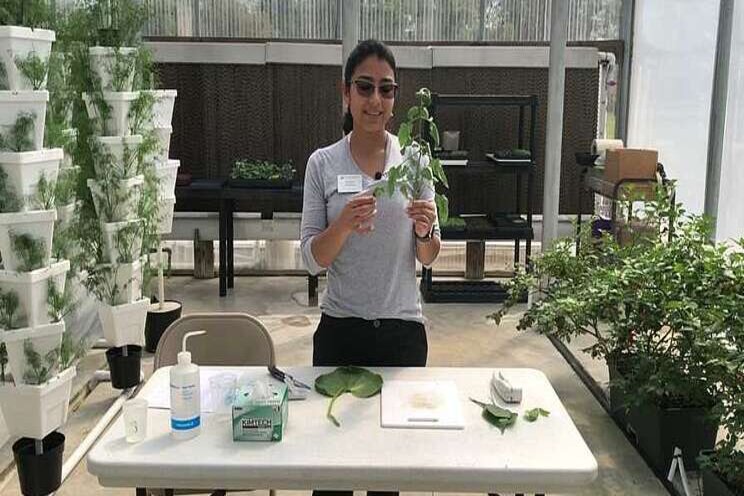 New videos offer production tips for greenhouse growers New videos offer production tips for greenhouse growers
