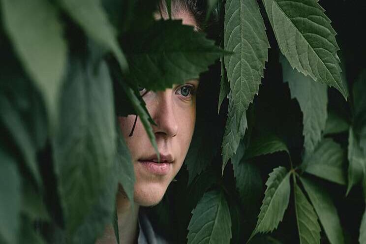 Testing partnership for hemp genetics Testing partnership for hemp genetics