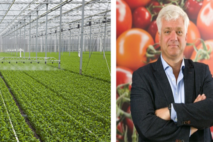 VIDEO| Coronavirus impact in vegetable industry VIDEO| Coronavirus impact in vegetable industry