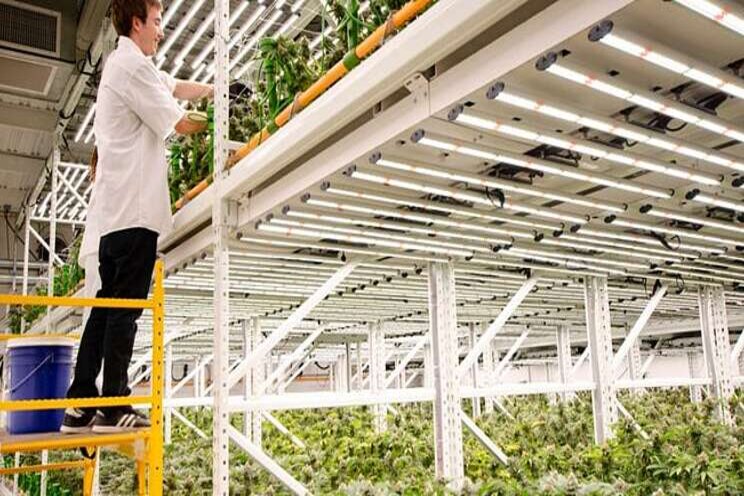 4 convincing reasons to choose LED tech 4 convincing reasons to choose LED tech