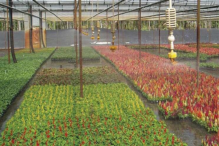 Online product sales for greenhouse market Online product sales for greenhouse market
