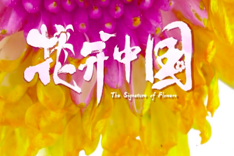 China's first horti documentary China's first horti documentary