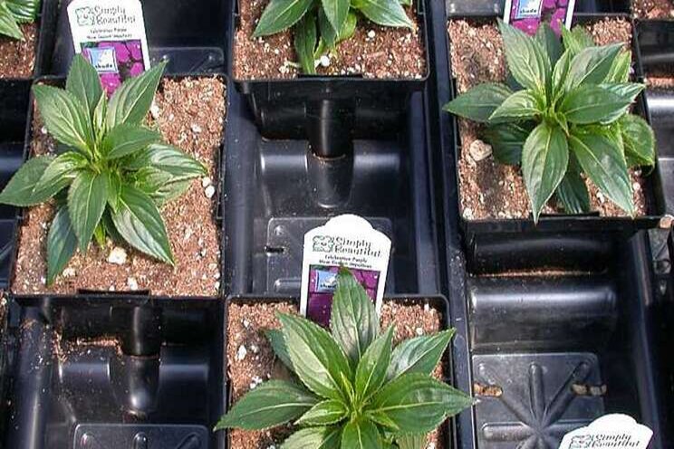 Moisture management matters Moisture management matters