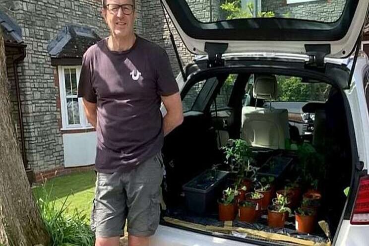 The car on driveway by turning it into greenhouse The car on driveway by turning it into greenhouse