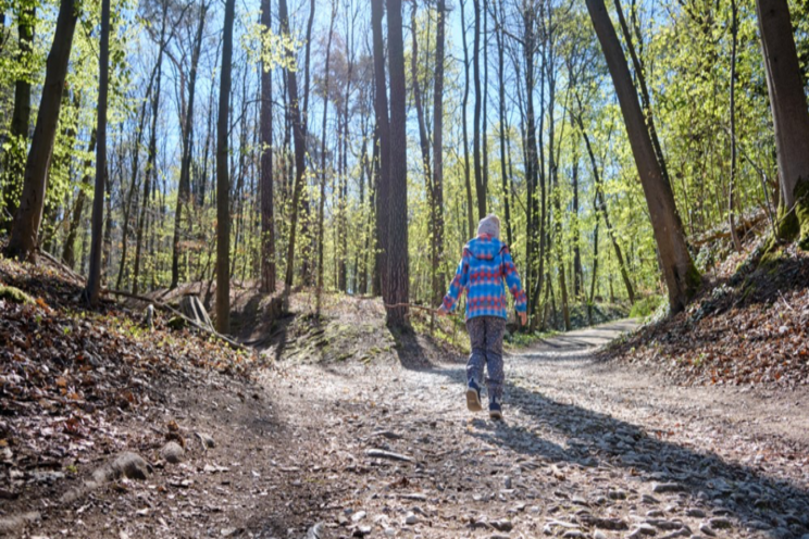 Climate-proof forests in the Netherlands and Europe Climate-proof forests in the Netherlands and Europe