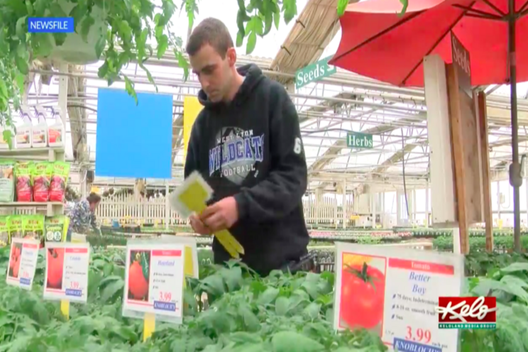 Greenhouse surprised by online orders Greenhouse surprised by online orders