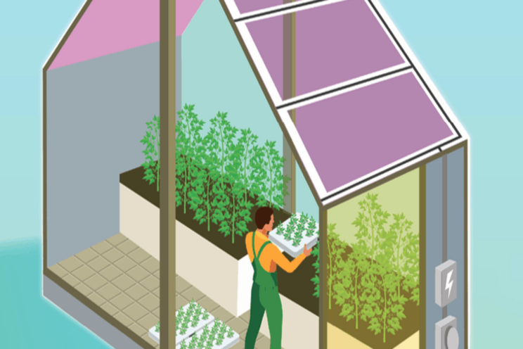 The future of greenhouses The future of greenhouses