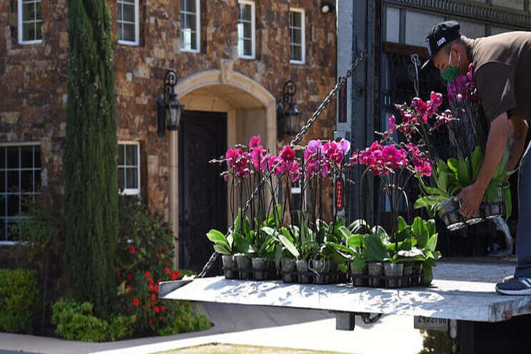 Orchids for frontline health care workers Orchids for frontline health care workers
