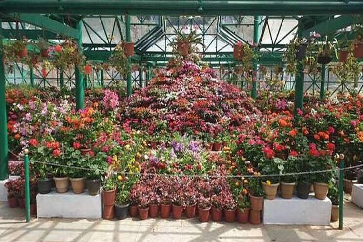 Ooty's famous Botanical Garden without tourists Ooty's famous Botanical Garden without tourists