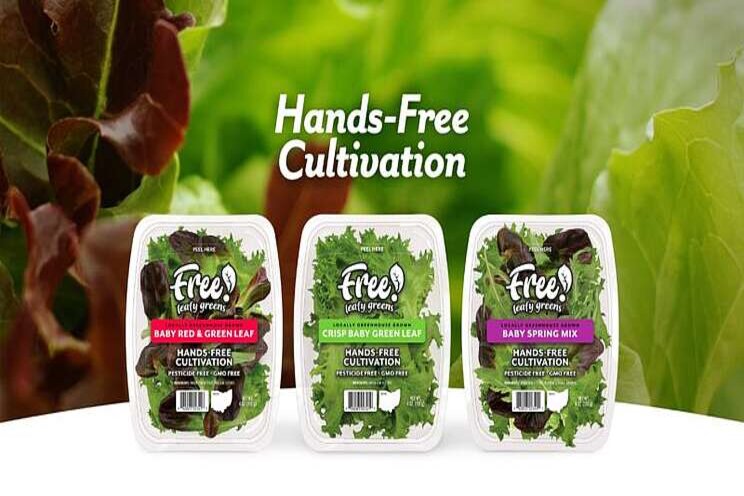Hands-free cultivation project Hands-free cultivation project
