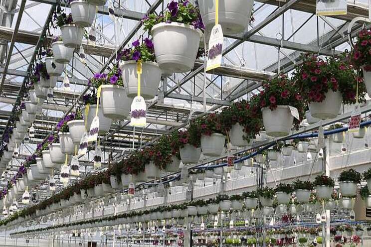 Why horticulture has a plastic conundrum Why horticulture has a plastic conundrum