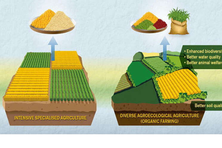 How we look at organic vs. conventional ag How we look at organic vs. conventional ag