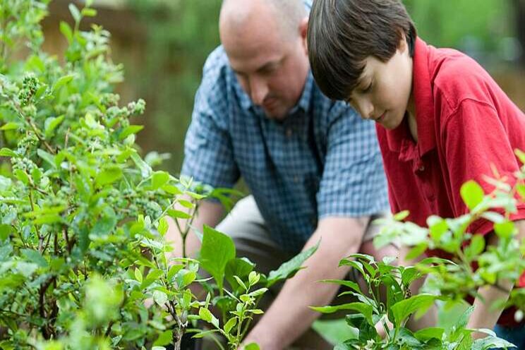 Maintaining the global access to fertilizers is essential Maintaining the global access to fertilizers is essential