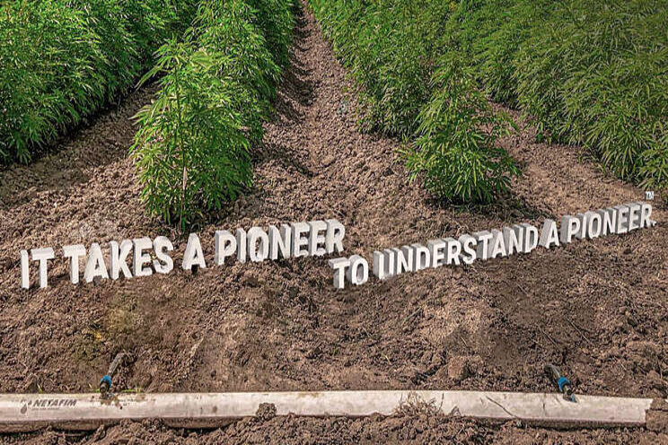 Financing program to hemp growers Financing program to hemp growers