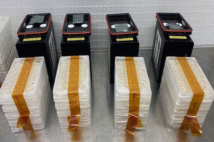 Hemp cell cultures sent to space Hemp cell cultures sent to space