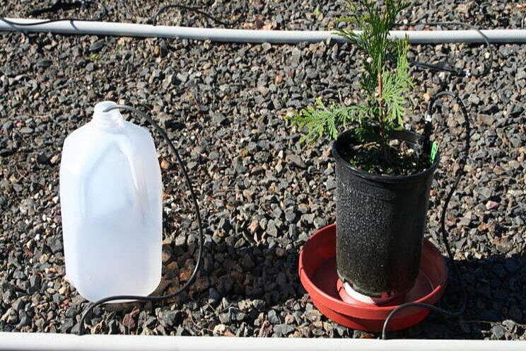 Managing irrigation by measuring leachate Managing irrigation by measuring leachate
