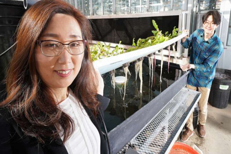 Risk of E. coli in hydroponic and aquaponic systems Risk of E. coli in hydroponic and aquaponic systems