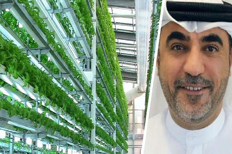 Aquaponics can ensure steady food supply Aquaponics can ensure steady food supply