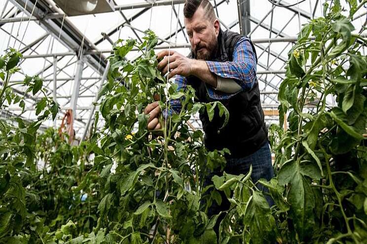 'This is a big deal': 3,200-square-foot greenhouse for kids
