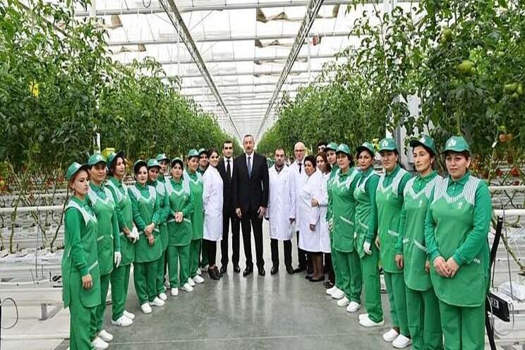 Westland greenhouse of 11 hectares Westland greenhouse of 11 hectares