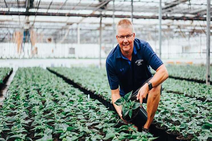 Award-winning advice on ways to keep the quality in young plants